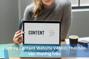 Ảnh đại diện dịch vụ content Website của V4SEO