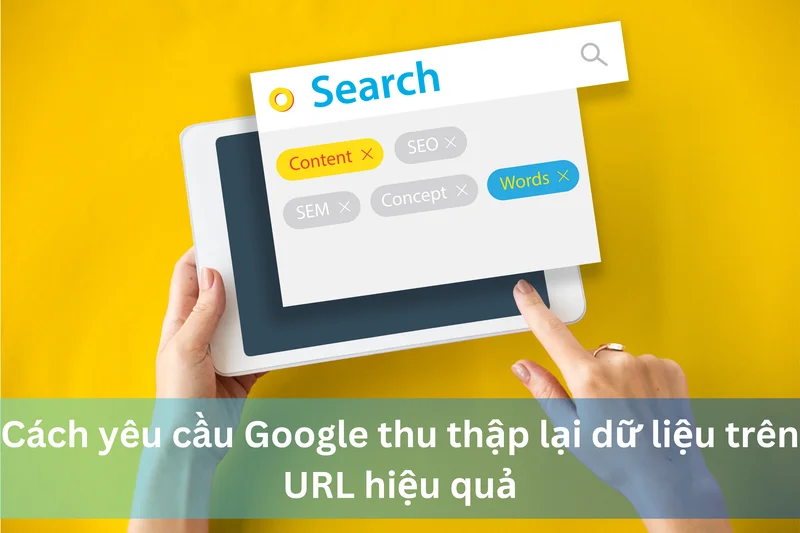 Cách yêu cầu Google thu thập lại dữ liệu trên URL hiệu quả 7 Ảnh đại diện của cách yêu cầu Google thu thập lại dữ liệu trên URL hiệu quả
