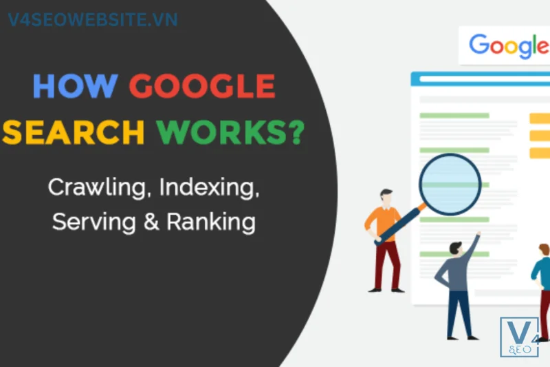 Hướng dẫn chuyên sâu về cách thức hoạt động của Google Tìm kiếm 2 Crawling - Indexing - Ranking là 3 giai đoạn hoạt động của Google Tìm kiếm