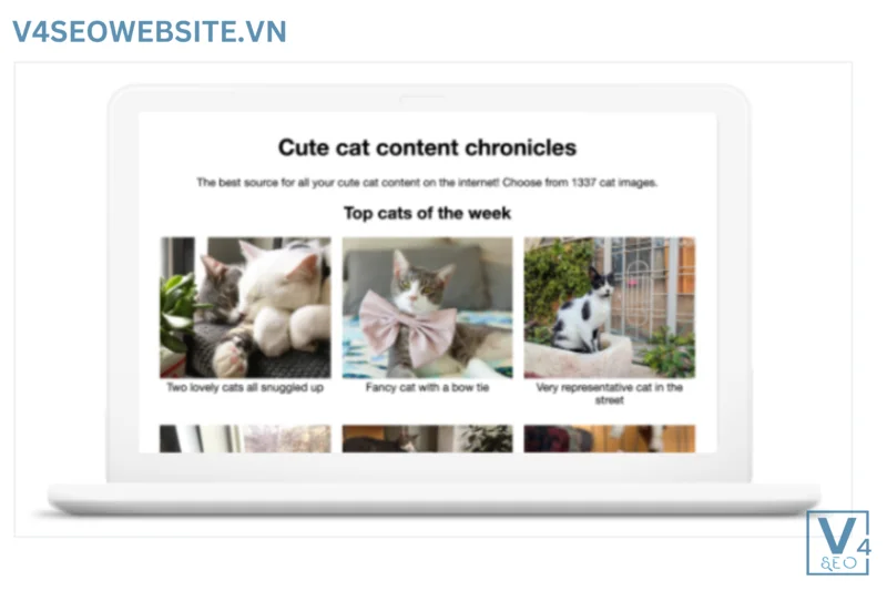 Làm quen với Tìm kiếm: Hướng dẫn dành cho nhà phát triển 1 Những gì mà Website của bạn thể hiện cho người dùng thấy