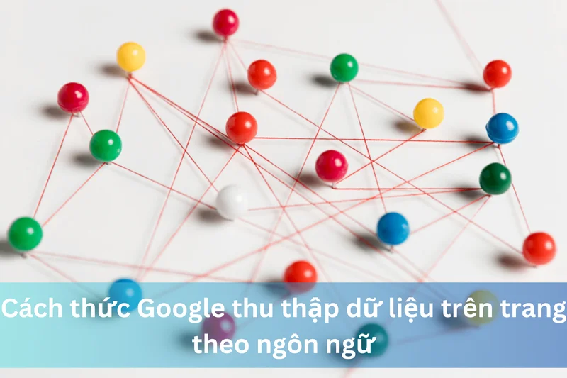 Cách thức Google thu thập dữ liệu trên trang theo ngôn ngữ 5 Ảnh đại diện của Cách thức Google thu thập dữ liệu trên trang theo ngôn ngữ