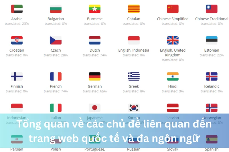 Tổng quan về các chủ đề liên quan đến trang web quốc tế và đa ngôn ngữ 8 Ảnh đại diện của Tổng quan về các chủ đề liên quan đến trang web quốc tế và đa ngôn ngữ