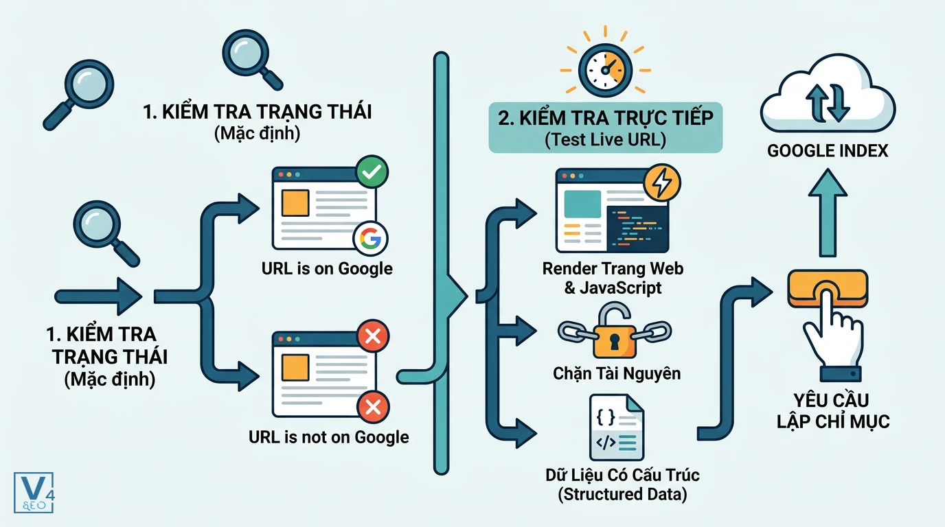 quy-trinh-kiem-tra-url-inspection Sơ đồ quy trình 2 bước kiểm tra trạng thái URL và test live trước khi gửi yêu cầu lập chỉ mục lên Google